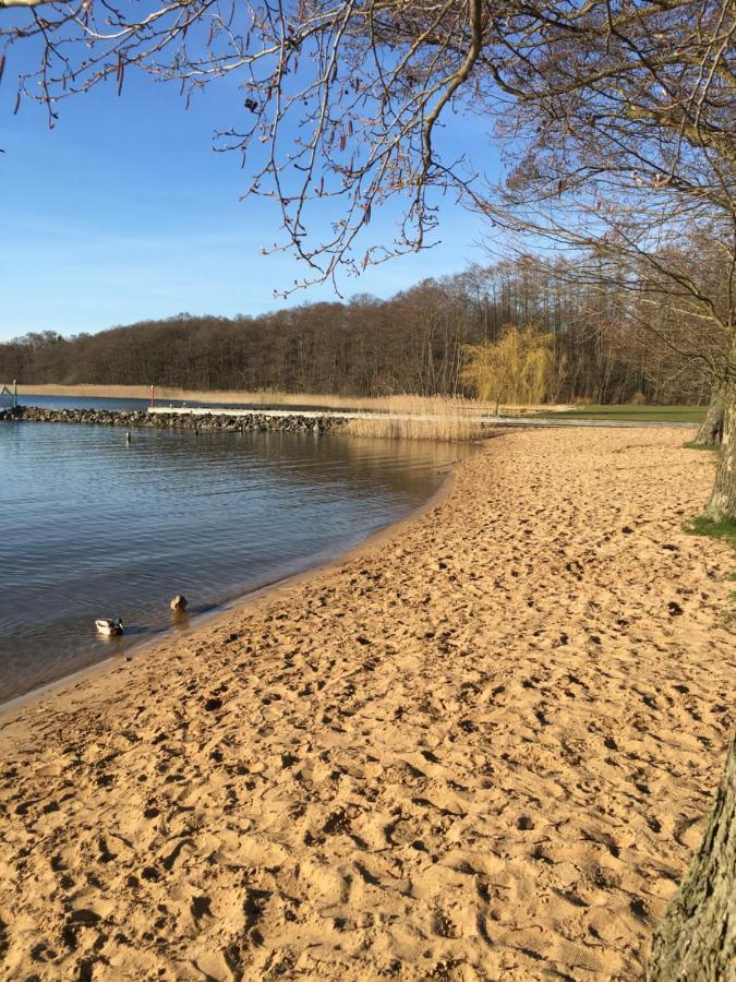 Ferienhaus Mit Bootssteg Am See In Rheinsberg Εξωτερικό φωτογραφία